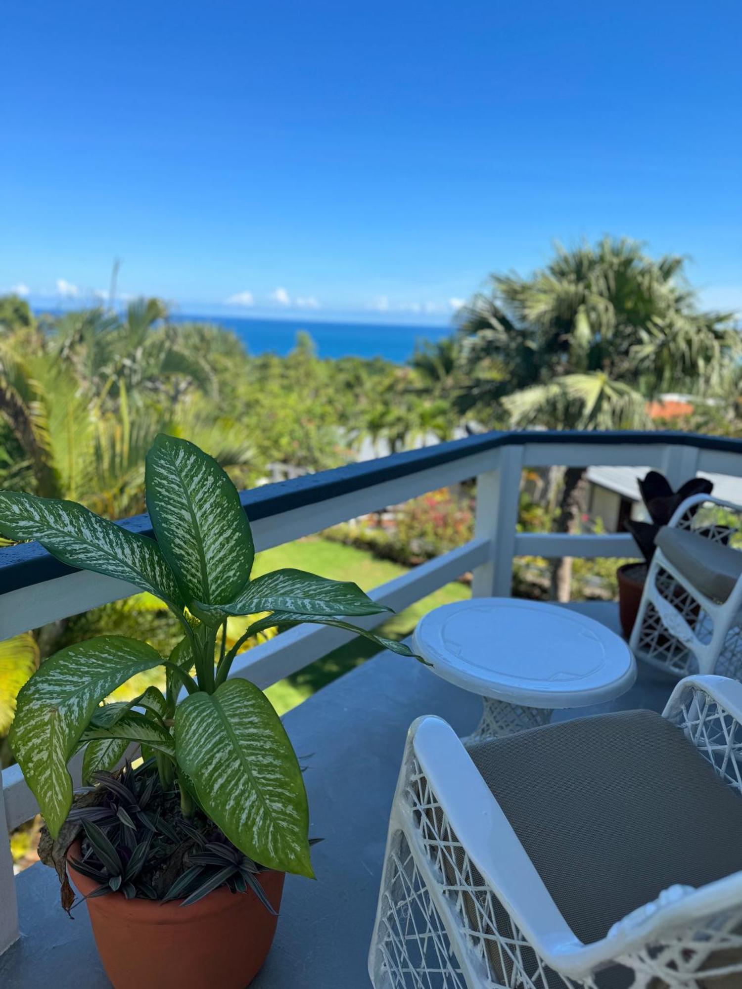 Catalina, Cabrera Oceanview Multi 2 Bd 2 Bath Condo Units With Balcony And Pool Экстерьер фото
