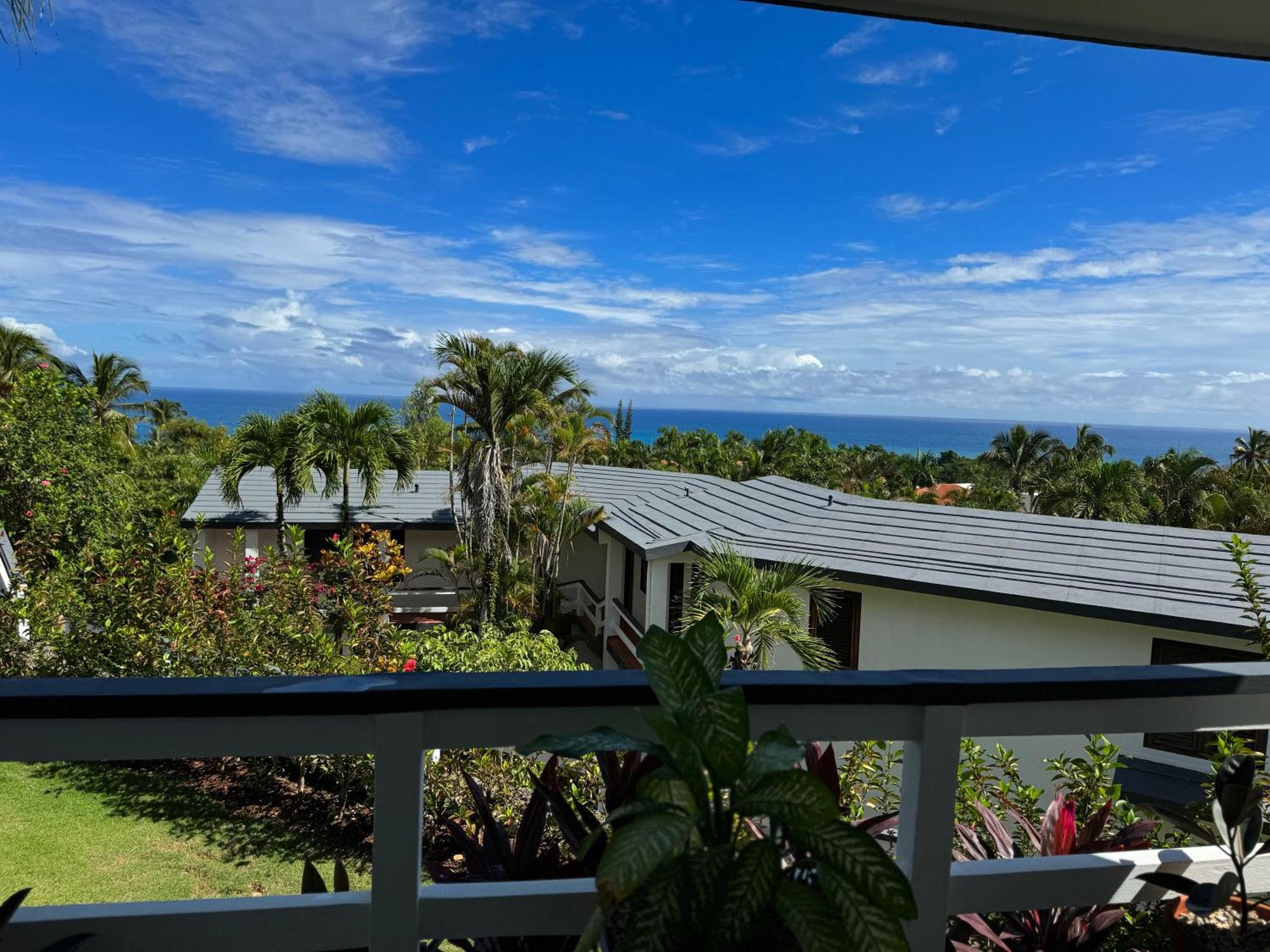 Catalina, Cabrera Oceanview Multi 2 Bd 2 Bath Condo Units With Balcony And Pool Экстерьер фото